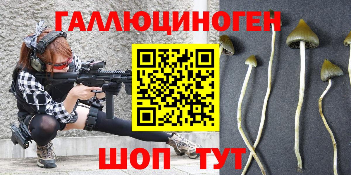 Галлюциногенные грибы MAGIC MUSHROOMS  закладки  Псилоцибиновые грибы MAGIC MUSHROOMS  Нижневартовск  Вход с VPN 